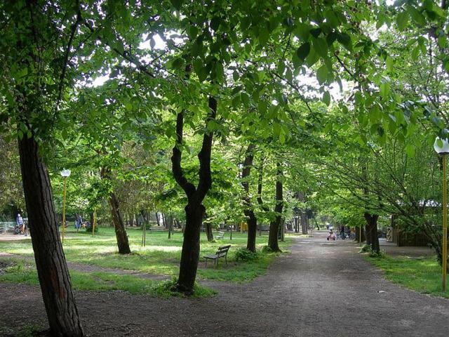 Villa Grazia Βιαρέτζιο Εξωτερικό φωτογραφία